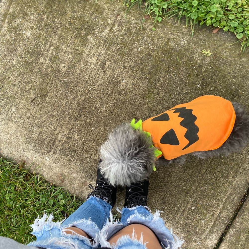 SMALL Orange Pumpkin Pet Costume